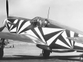 dazzle_plane